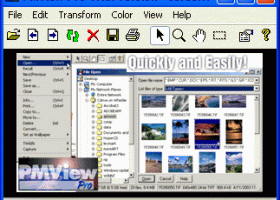 PMView Pro screenshot