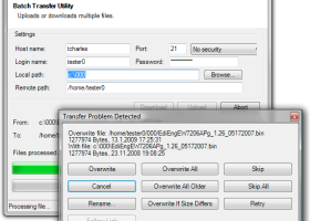 Batch FTP Upload Synchronizer screenshot