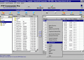 FTP Commander Pro screenshot