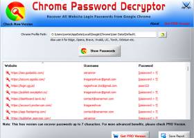 Chrome Password Decryptor screenshot
