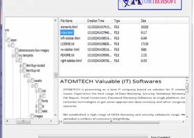 Atom TechSoft Data Recovery Solutions screenshot