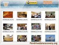 Digital Pictures Recovery Software screenshot