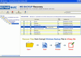 RepairWare MS Backup Recovery Tool screenshot