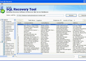SQL Server Database Recovery screenshot