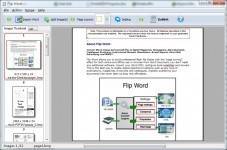 A-PDF Flip Word screenshot