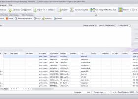 Data Cleansing and Matching screenshot