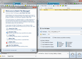 Batch File Manager Free screenshot