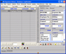 Business Expense Organizer screenshot