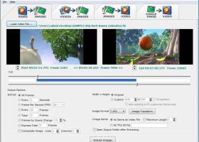 Video Image Master Express screenshot