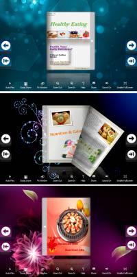 Flip_Themes_Package_Lively_Richcolor screenshot