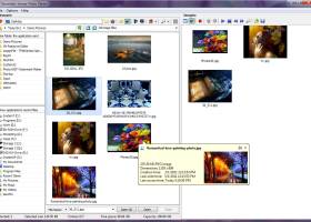 Secondary Viewer Photo Viewer screenshot