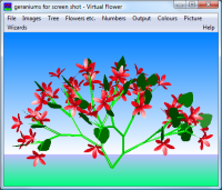 Virtual Flower screenshot