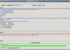 Afick screenshot