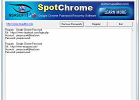 SpotChrome Password Recovery screenshot