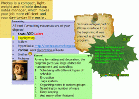 PNotes.NET screenshot
