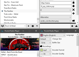Pocket Radio Player screenshot