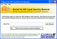 Lotus Notes Local Security Removal screenshot