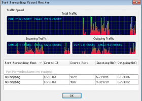 Port Forwarding Wizard Pro Version screenshot