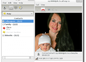 Ekiga for Windows screenshot
