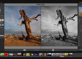 PT Photo Editor - Free Edition screenshot