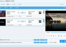 4Videosoft Video Converter screenshot