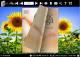 Sunflower Theme for PDF to Flipping Book