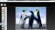 Free online Photo Frame