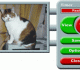 ABF Photo Camera