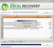Recover Data from Excel Spreadsheet
