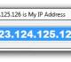 Display IP Address