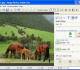 Image Resize Guide Lite