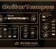GuitarTempus Virtual Guitar