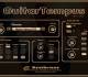 GuitarTempus Virtual Guitar