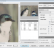 Ximagic Denoiser for Windows (x64 bit)