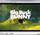 VLC Media Player Portable