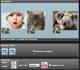 Free GIF Slideshow Maker for Window