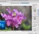 Neat Image plug-in for Photoshop x64