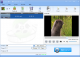 Lionsea MP4 To WMV Converter Ultimate