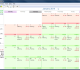 Money Calendar