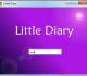 Little Diary