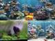 Clear Aquarium Animated Wallpaper