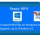 Repair MP4 File