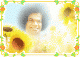 Sathya Sai Baba - Blooming Flower