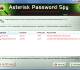 Asterisk Password Spy