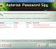 Asterisk Password Spy